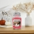 7aa9616b89150cb7a3fa9eb44864af88.jpg