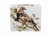 6529de60bc20dfde3c772d355ccabdb1.jpg