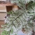 db5995819cef67400583549ce300ad16.jpg