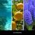Uzupełniacz Millefiori Milano 500 ml – świeży zapach Blue Posidonia do patyczków zapachowych | Allmaxxx