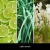 Uzupełniacz Millefiori Milano 500 ml – zapach LIME & VETIVER do patyczków zapachowych | Allmaxxx