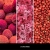 Uzupełniacz Millefiori Milano 500 ml – zapach LYCHEE & ROSE do patyczków zapachowych | Allmaxxx