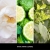 Uzupełniacz Millefiori Milano WHITE PAPER FLOWERS 500 ml do patyczków zapachowych – subtelny, świeży zapach | Allmaxxx