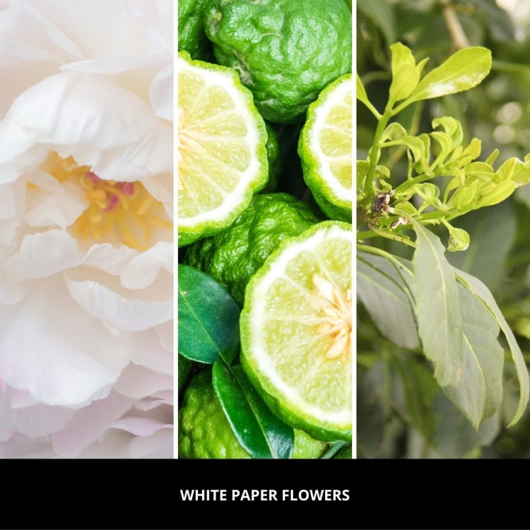 Uzupełniacz Millefiori Milano WHITE PAPER FLOWERS 500 ml do patyczków zapachowych – subtelny, świeży zapach | Allmaxxx